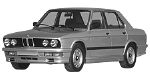 BMW E28 U250F Fault Code